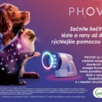 Nová štúdia ukazuje, že energia fluorescenčného svetla zlepšuje hojenie po mastektómii súk