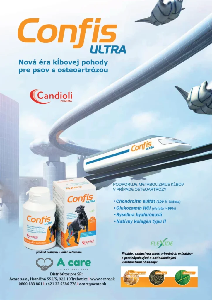Inzercia Confis ultra