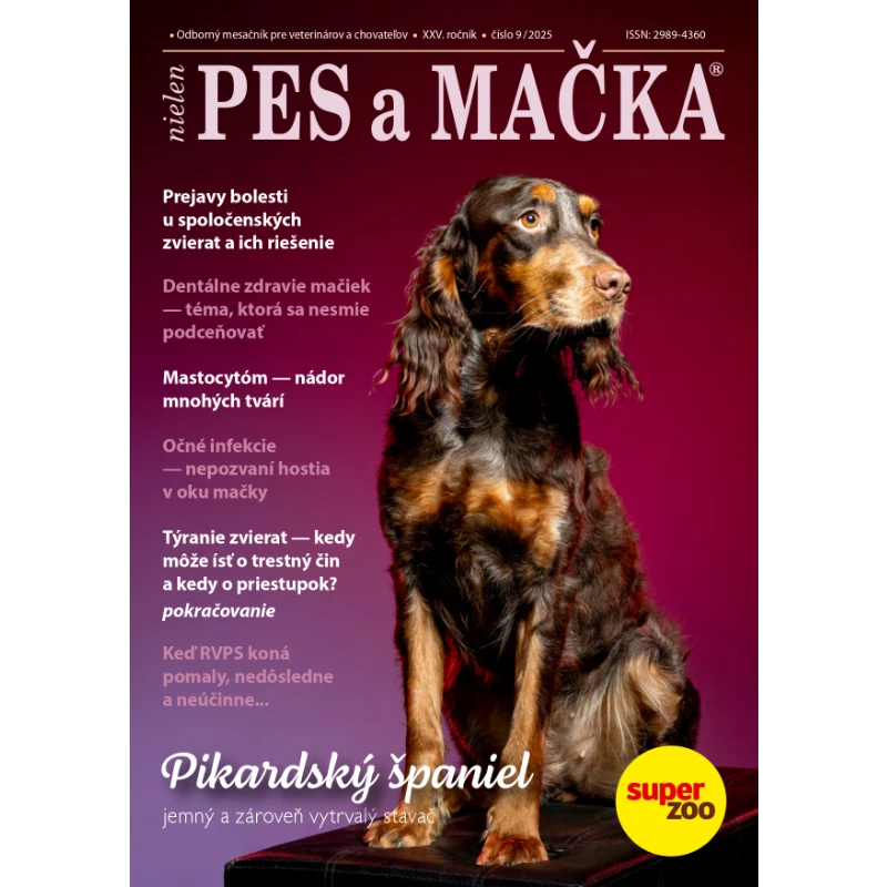 Pes a Mačka október 2025
