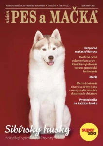 obalka december 2025