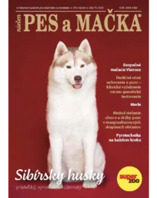 obalka december 2025 square