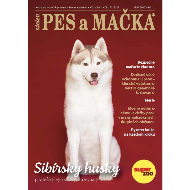 Pes a Mačka december 2025