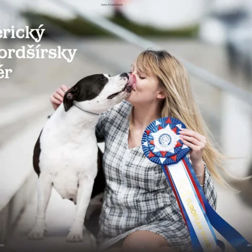 Americký stafordšírsky teriér