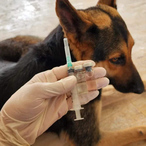 Brita a jej cesta k uzdraveniu