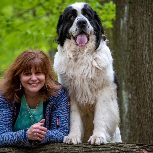 Landseer - ušľachtilý obor